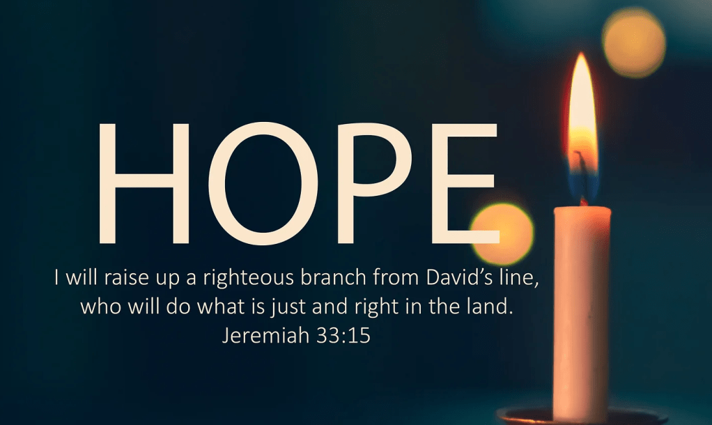 The Righteous Branch