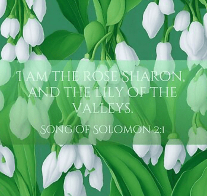 Lily of the&nbsp;Valleys