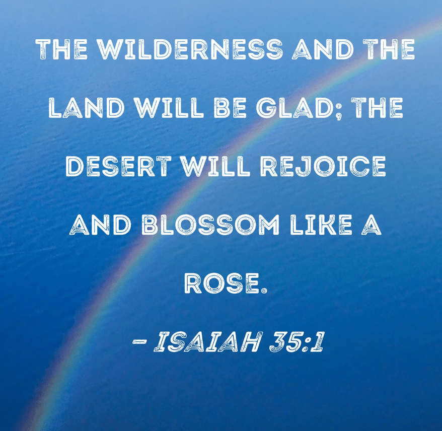 Joy of the&nbsp;Redeemed